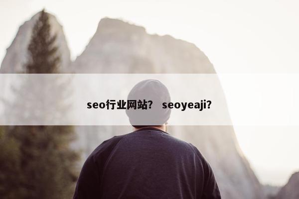 seo行业网站？ seoyeaji？