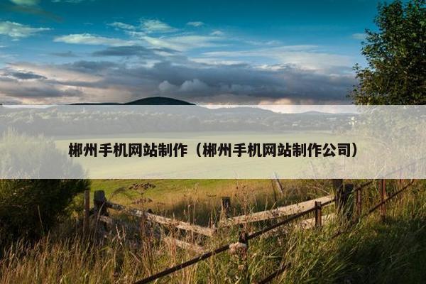 郴州手机网站制作（郴州手机网站制作公司）