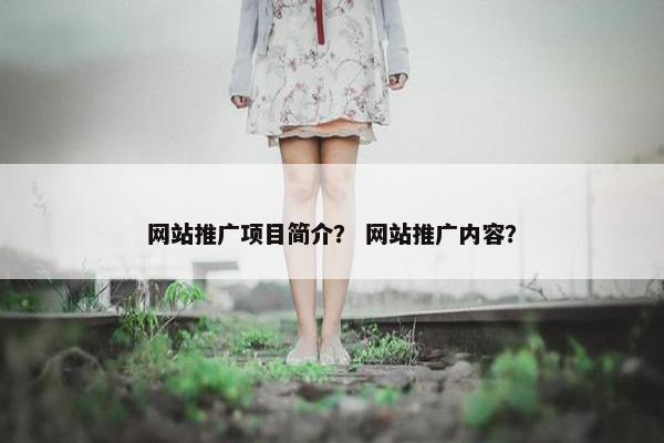 网站推广项目简介？ 网站推广内容？