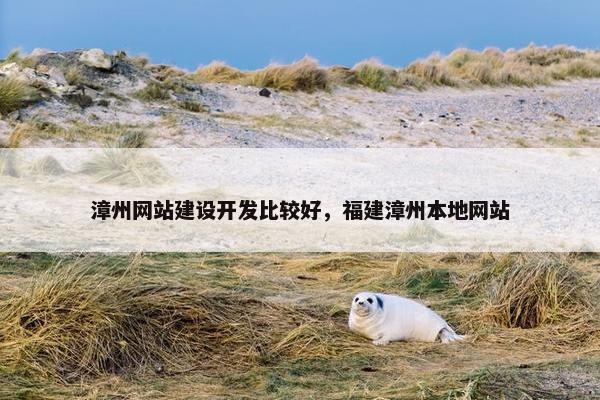 漳州网站建设开发比较好，福建漳州本地网站