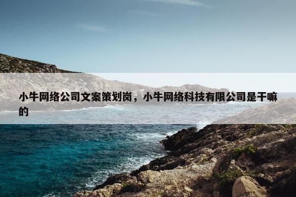 小牛网络公司文案策划岗，小牛网络科技有限公司是干嘛的