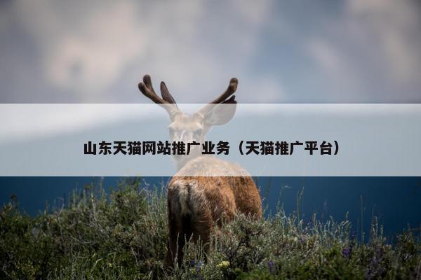 山东天猫网站推广业务（天猫推广平台）