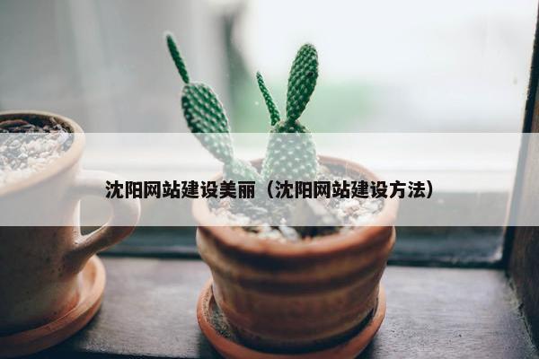 沈阳网站建设美丽（沈阳网站建设方法）