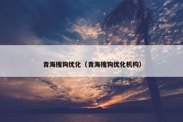 青海搜狗优化（青海搜狗优化机构）