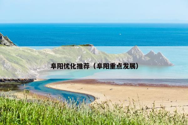 阜阳优化推荐（阜阳重点发展）