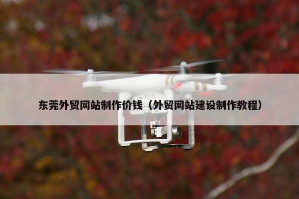 东莞外贸网站制作价钱（外贸网站建设制作教程）