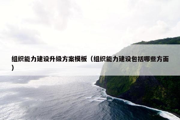 组织能力建设升级方案模板（组织能力建设包括哪些方面）