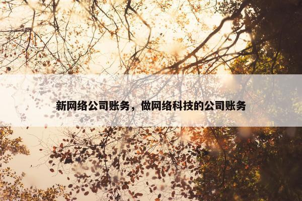 新网络公司账务，做网络科技的公司账务