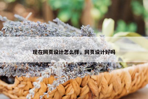 现在网页设计怎么样，网页设计好吗