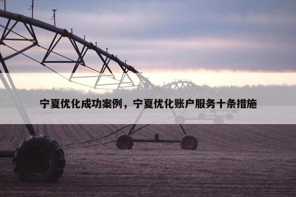宁夏优化成功案例，宁夏优化账户服务十条措施