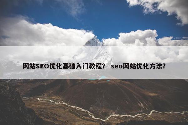 网站SEO优化基础入门教程？ seo网站优化方法？