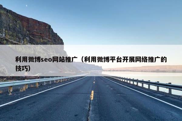 利用微博seo网站推广（利用微博平台开展网络推广的技巧）