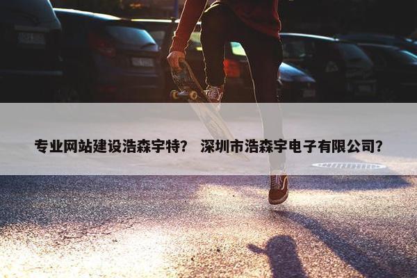 专业网站建设浩森宇特？ 深圳市浩森宇电子有限公司？
