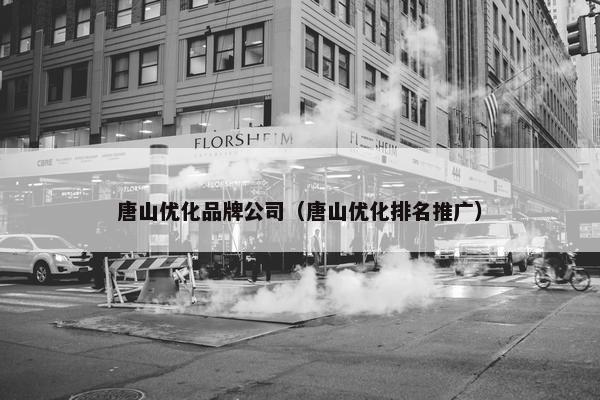唐山优化品牌公司（唐山优化排名推广）