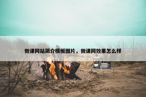 微课网站简介模板图片，微课网效果怎么样