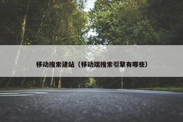 移动搜索建站（移动端搜索引擎有哪些）