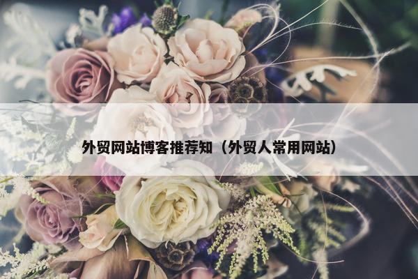 外贸网站博客推荐知（外贸人常用网站）