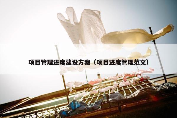 项目管理进度建设方案（项目进度管理范文）