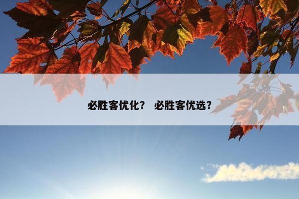 必胜客优化？ 必胜客优选？