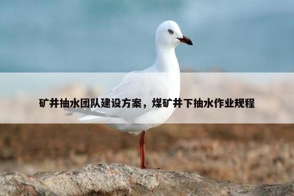矿井抽水团队建设方案，煤矿井下抽水作业规程