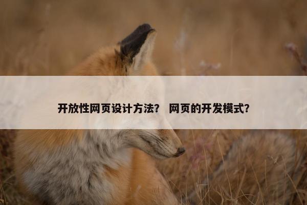 开放性网页设计方法？ 网页的开发模式？