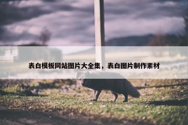 表白模板网站图片大全集，表白图片制作素材