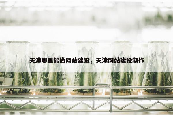 天津哪里能做网站建设，天津网站建设制作