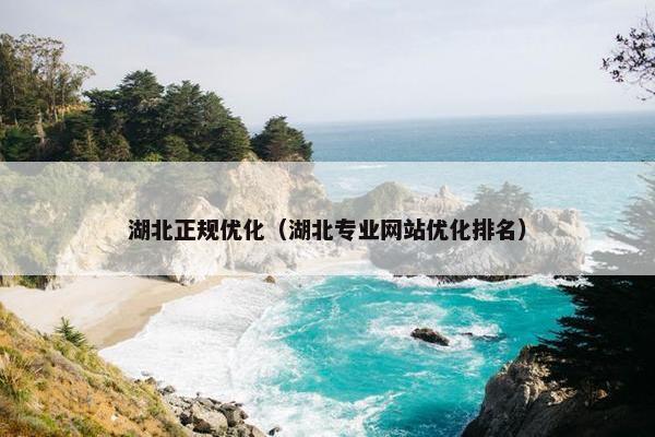 湖北正规优化（湖北专业网站优化排名）