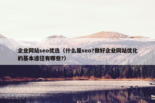 企业网站seo优选（什么是seo?做好企业网站优化的基本途径有哪些?）