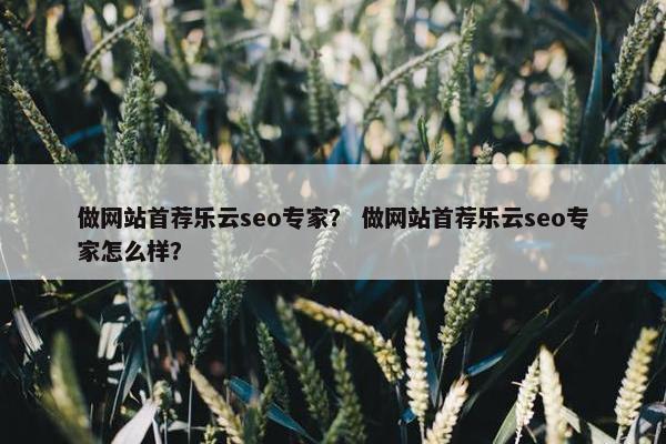 做网站首荐乐云seo专家？ 做网站首荐乐云seo专家怎么样？
