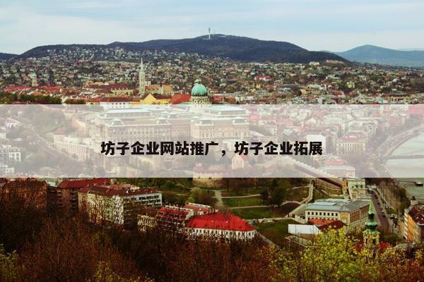 坊子企业网站推广，坊子企业拓展