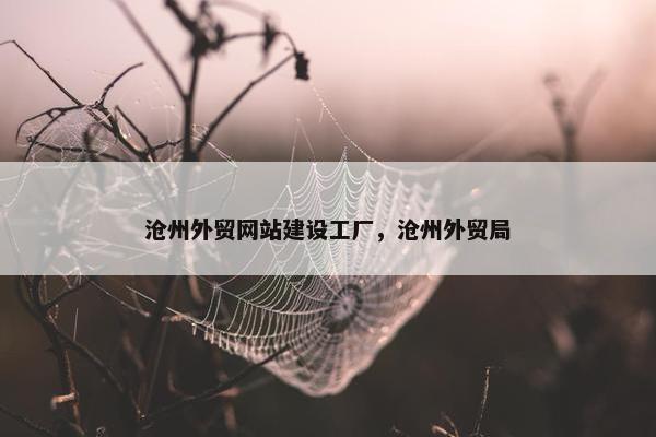 沧州外贸网站建设工厂，沧州外贸局