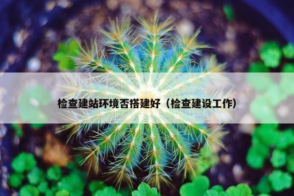 检查建站环境否搭建好（检查建设工作）