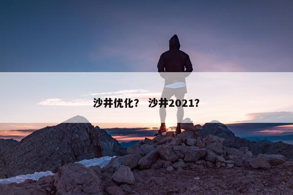 沙井优化？ 沙井2021？