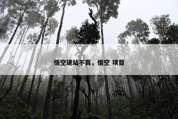 悟空建站不真，悟空 项目