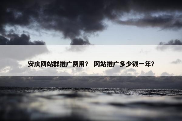 安庆网站群推广费用？ 网站推广多少钱一年？