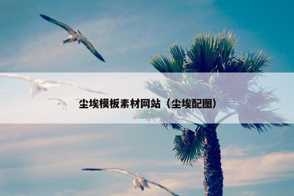尘埃模板素材网站（尘埃配图）