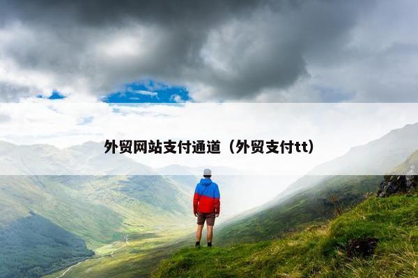外贸网站支付通道（外贸支付tt）