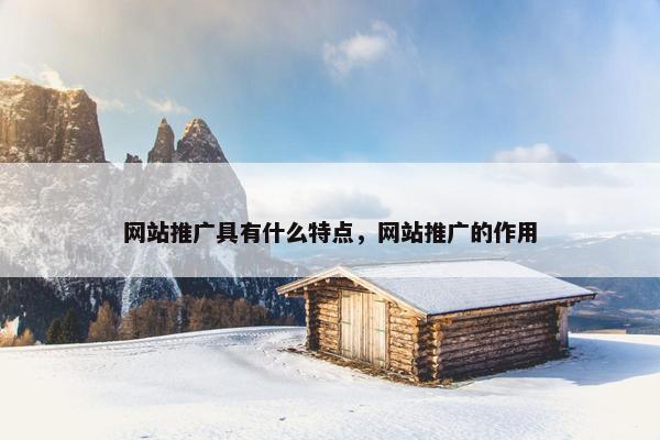 网站推广具有什么特点，网站推广的作用