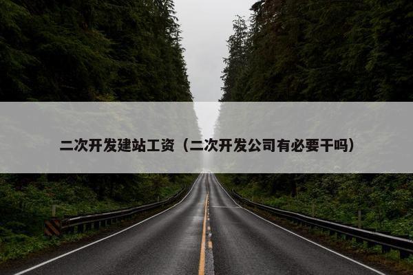 二次开发建站工资（二次开发公司有必要干吗）