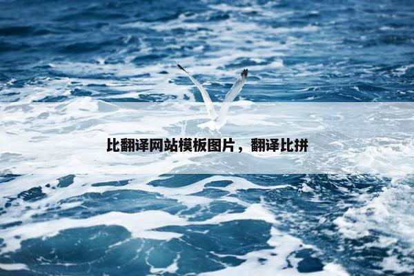 比翻译网站模板图片，翻译比拼
