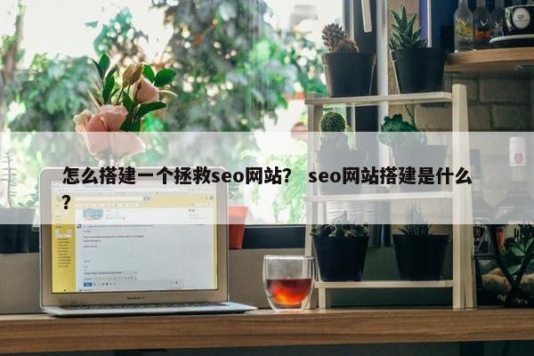 怎么搭建一个拯救seo网站？ seo网站搭建是什么？