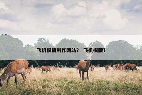 飞机模板制作网站？ 飞机模版？