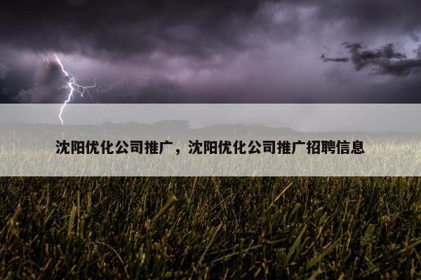 沈阳优化公司推广，沈阳优化公司推广招聘信息