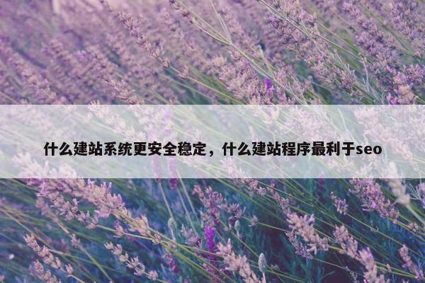 什么建站系统更安全稳定，什么建站程序最利于seo