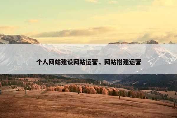 个人网站建设网站运营，网站搭建运营