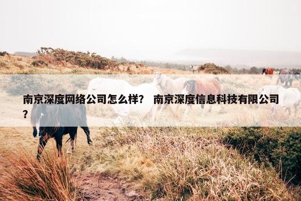 南京深度网络公司怎么样？ 南京深度信息科技有限公司？
