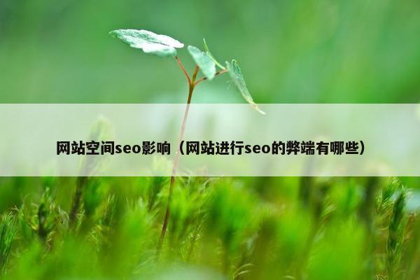 网站空间seo影响（网站进行seo的弊端有哪些）