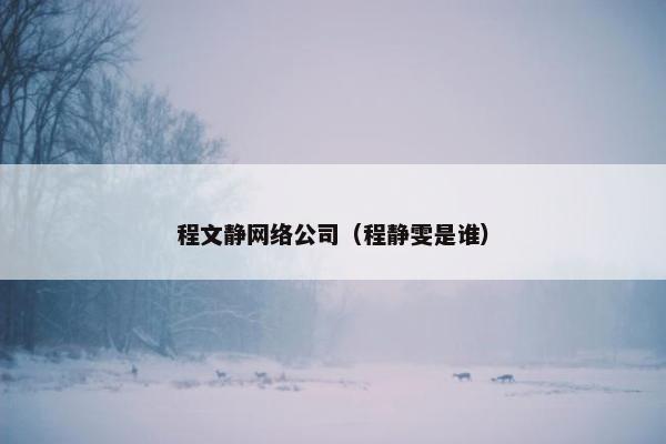 程文静网络公司（程静雯是谁）