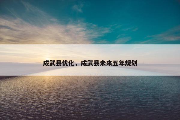 成武县优化，成武县未来五年规划